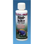Kord Rid Ich Best Price