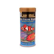 Ward An Color Marine Best Price