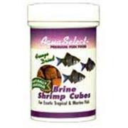 Blue Ribbon Freeze Dry Brine Shrimp Cubes Best Price