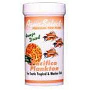 Brine Freeze Dry Pacifica Plankton Best Price