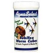 Brine Freeze Dry Tubifex Cubes Best Price