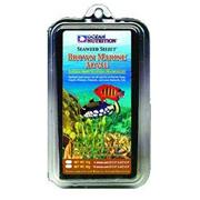 Ocean Nutrition Brown Marine Algae Best Price
