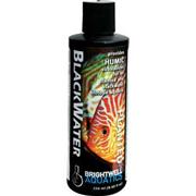 PetCareRx.com Bwell Blackwater Liquid