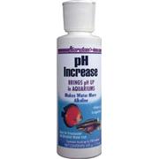Kord Ph Increase 4Oz Best Price
