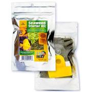 H2o Seaweed Starter Kit Best Price