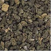 Carib African Cichlid Mix Best Price