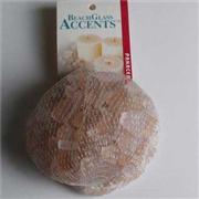 Pan Beach Glass 1Lb Sand Color Best Price