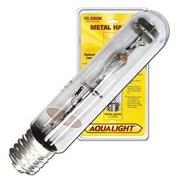 Cl Halide Bulb 10000K Best Price