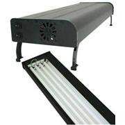Current Usa Nova Extreme T5ho Best Price