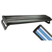 Wavepoint T5ho Light Best Price