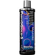 Bwell Phytogold Best Price