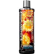 Bwell Zooplanktos Best Price