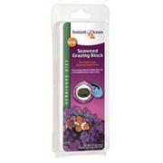 Io Seaweed Grazing Block 3Pk Best Price