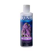 Kent Marine Purple Tech Best Price