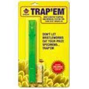 Cl Trap-Em Bristle Worm Trap Best Price