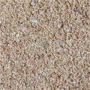 Carib Aragonite Reef Sand Best Price