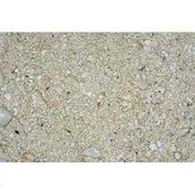 Carib Ocean Direct Natural Live Sand Best Price
