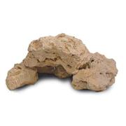 Carib Reef Rock Best Price