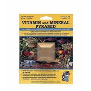 Ap Pyramid Vitamin and Mineral Block Best Price