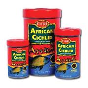 Hbh African Cichlid Attack Best Price