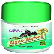Onutr Algae Wafers Best Price