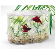 Lees Dual Betta Hex Tank Kit Best Price