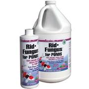 Kord Pond Rid Fungus 16Oz Best Price