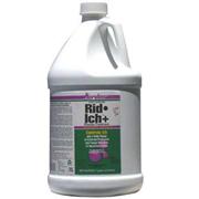 Kord Pond Rid Ich Best Price