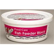 Ap Pond Fish Feeder Block Best Price