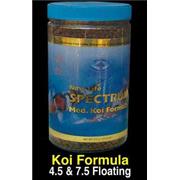 Nls Medium Koi Floating Best Price