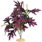 Br Plant Butterfly Leaf W/Buds Best Price