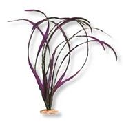 Br Plant Eel Grass Med Plum Best Price