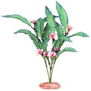 Br Plant Ferndale With Buds Best Price