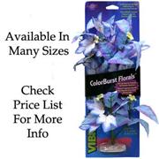 Br Plant Flowering Broad Leaf Best Price