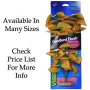 Br Plant Flowering Marsh Wood Med Best Price