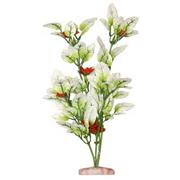 Br Plant Flowering Melon Best Price