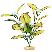 Br Plant Flowering Willowlf Best Price