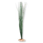 Br Plant Marsh Grass Small Grass Best Price