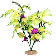 Br Plant Melon Leaf Green Best Price