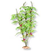 Br Plant Melon Leaf Cluster Best Price
