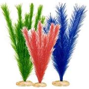Br Plant Pack Foxtail Cluster Best Price