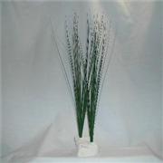 Rocky Green Eel Grass 12-13' Best Price
