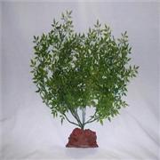 Rocky Green Lava Sup.Plant 20' Best Price