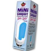 Cl 10W 50/50 Mini Compact Bulb Best Price