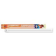 Cl 10000K Strait Pin Bulb Best Price