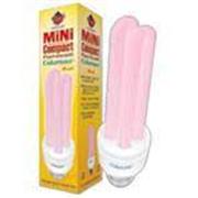 Cl 20W Colormax Mini Compact Bulb Best Price
