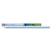 Cl 50/50 Square Pin Bulb Best Price