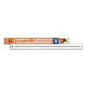 Cl 65W 10000K Square Pin Bulb Best Price