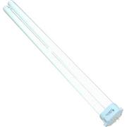 Cur 10000K Day Pc Bulb Best Price