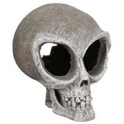 Br Alien Skull Small Best Price